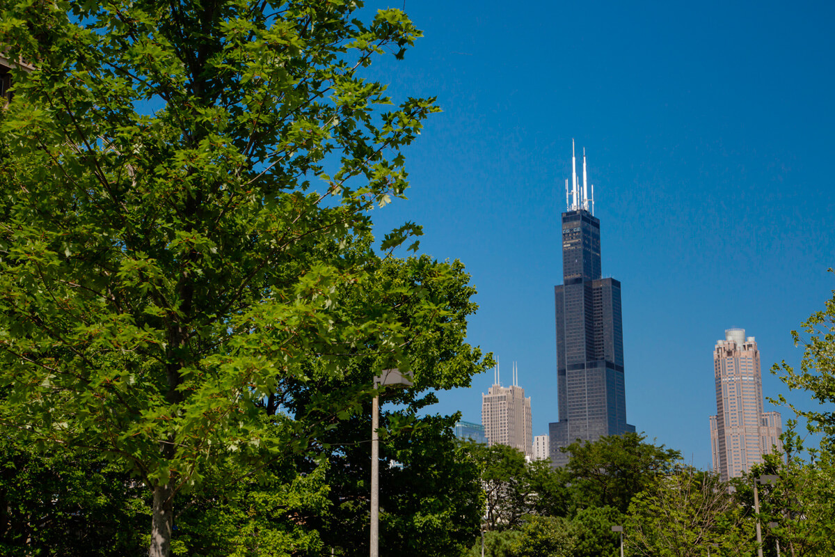 Chicago Skyline with trees in foreground